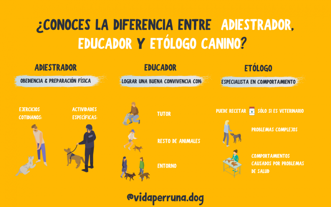 ¿Cuál es la diferencia entre un adiestrador, un educador y un etólogo canino?