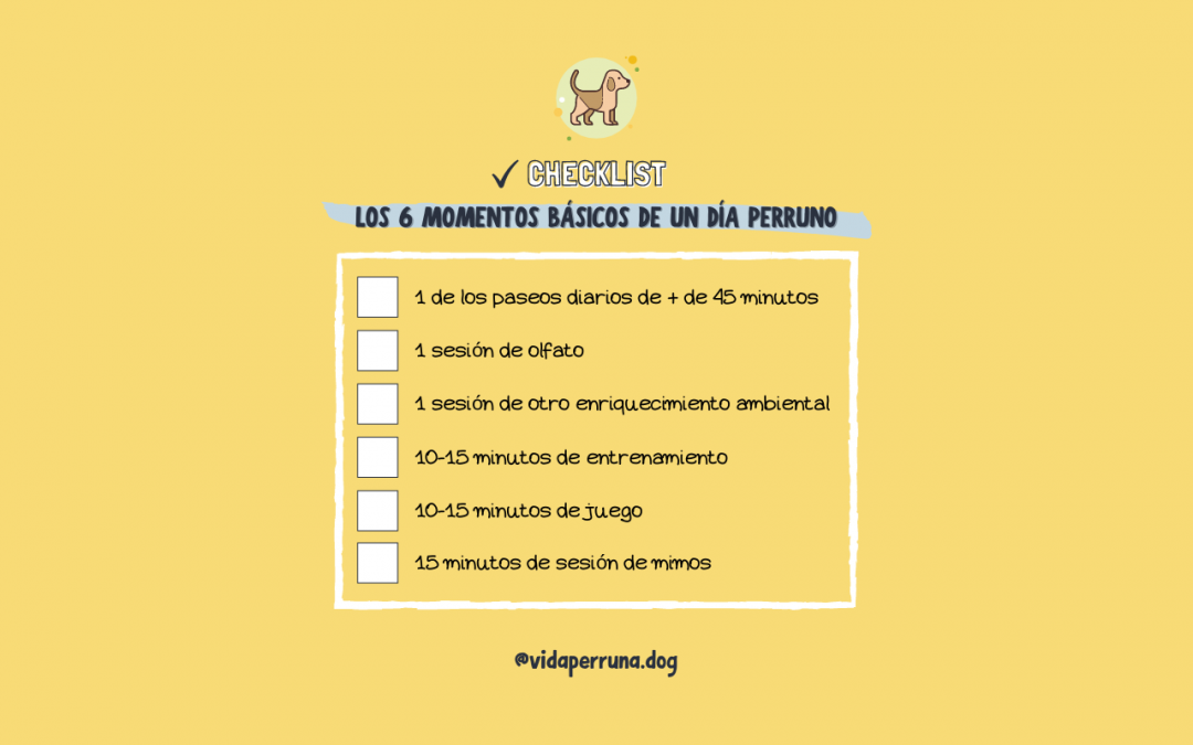 Checklist de los 6 momentos básicos de un día perruno