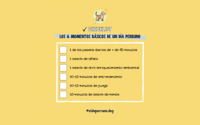 Checklist de los 6 momentos básicos de un día perruno
