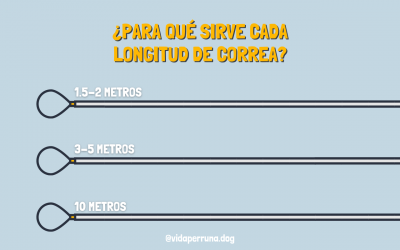 ¿Para qué sirve cada longitud de correa?